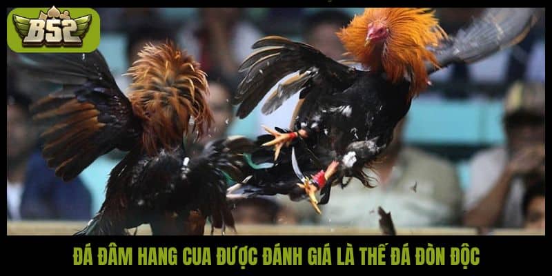 Đá đâm hang cua được đánh giá là thế đá đòn độc